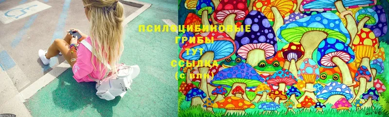 Галлюциногенные грибы MAGIC MUSHROOMS  сайты даркнета наркотические препараты  Лабинск 